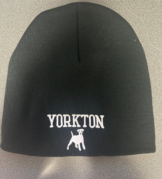 Terriers Beanie