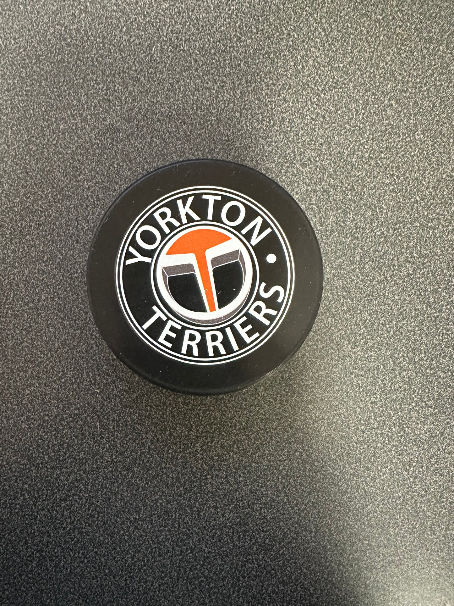 Terriers Pucks